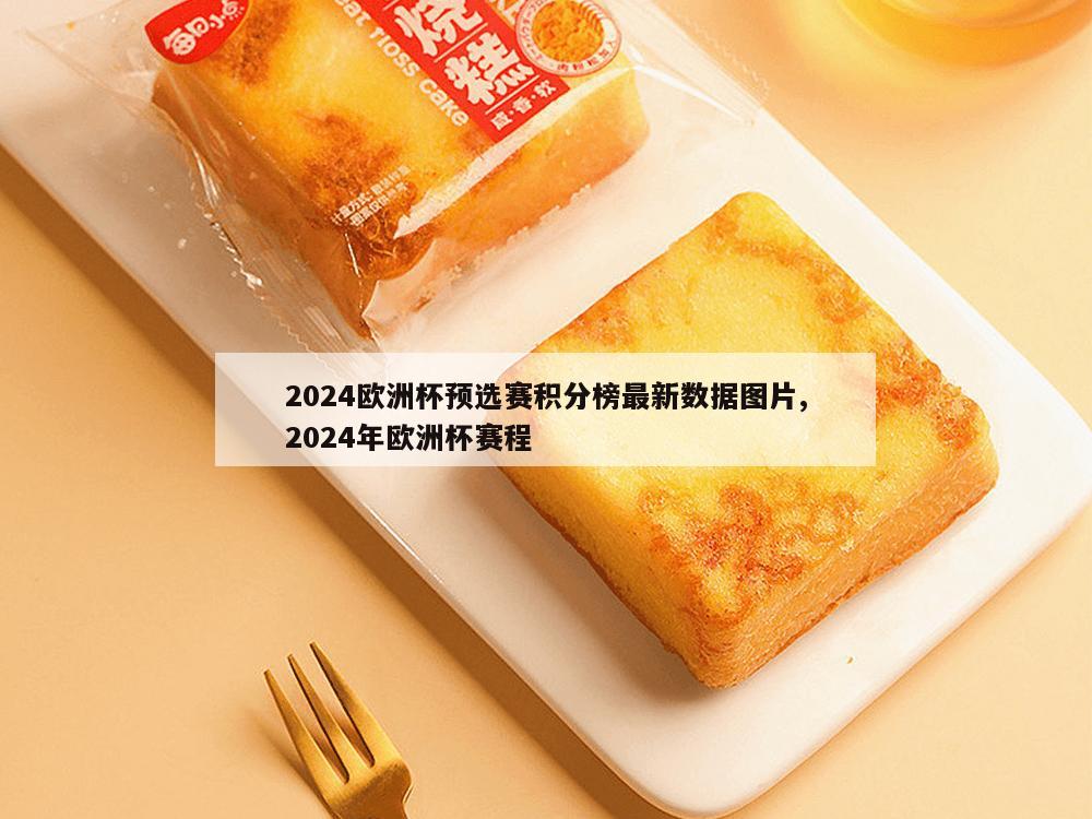 2024欧洲杯预选赛积分榜最新数据图片,2024年欧洲杯赛程