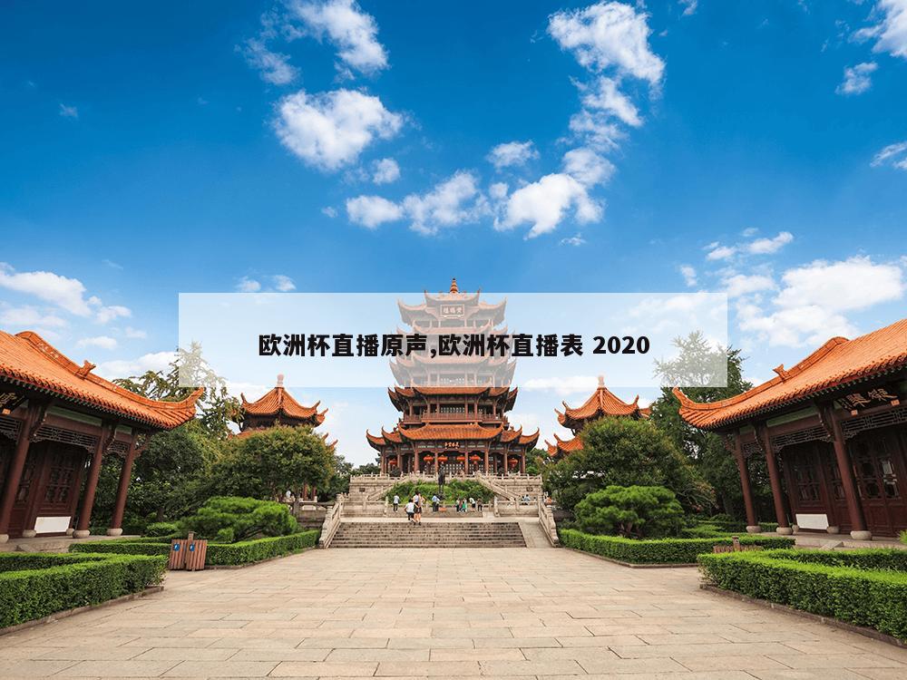 欧洲杯直播原声,欧洲杯直播表 2020