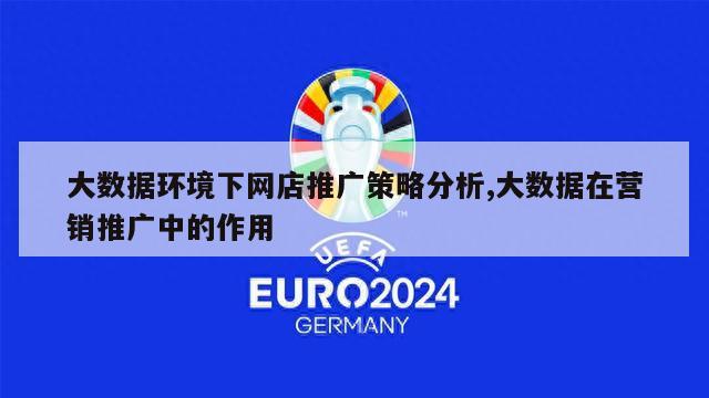 大数据环境下网店推广策略分析,大数据在营销推广中的作用