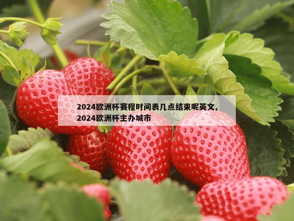 2024欧洲杯赛程时间表几点结束呢英文,2024欧洲杯主办城市