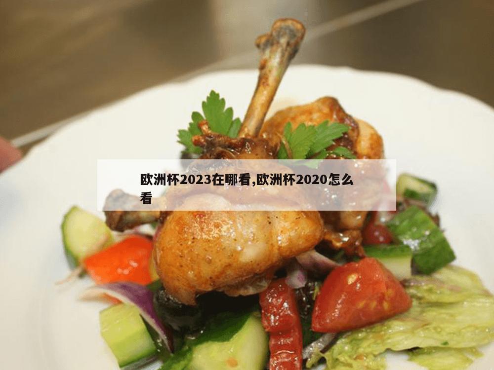 欧洲杯2023在哪看,欧洲杯2020怎么看