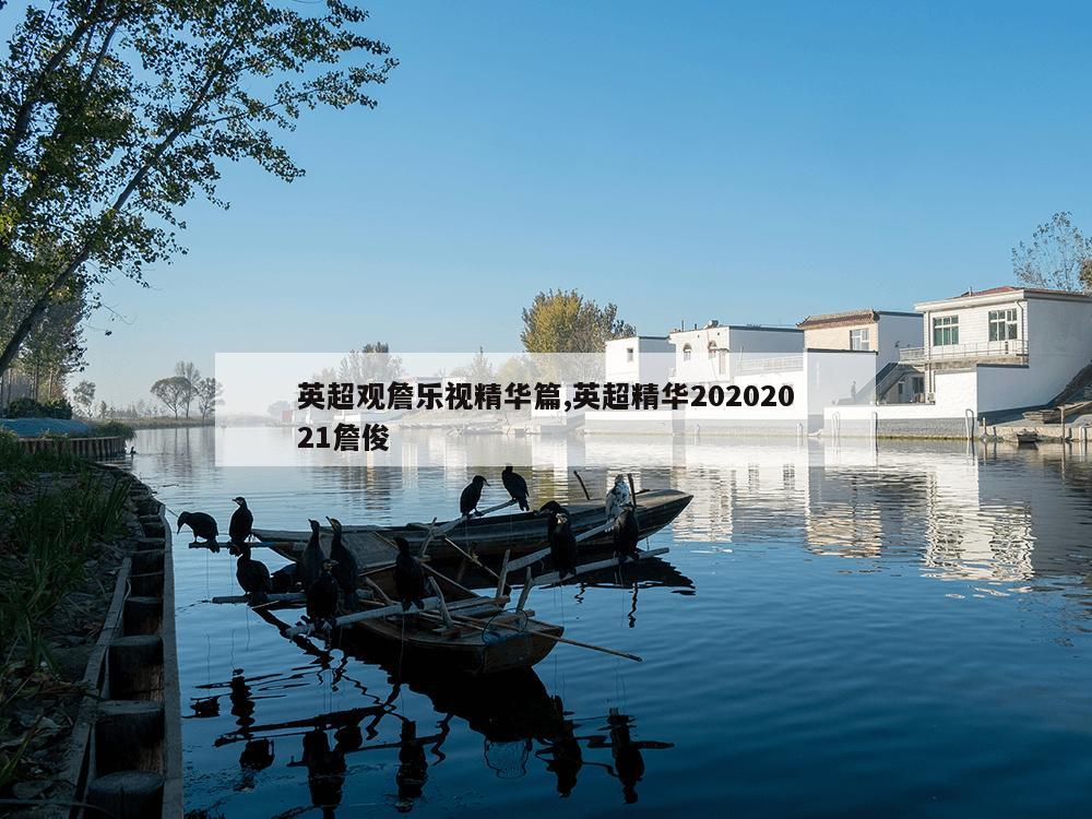 英超观詹乐视精华篇,英超精华20202021詹俊